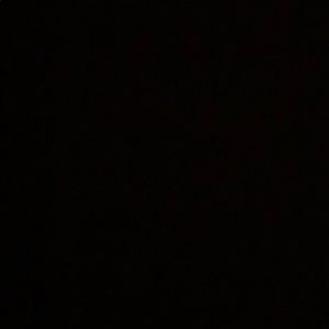 Meet your Posher, Ava